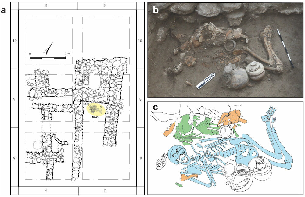 Evidence Of Brain Surgery Performed 3,000 Years Ago Discovered In Tel Megiddo, Israel