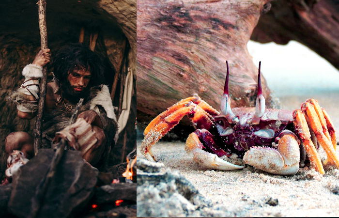 Proof That Neanderthals Ate Crabs 90,000 Years Ago Is Another 'Nail In The Coffin' For Primitive Cave Dweller Stereotypes