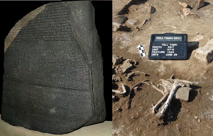 Archaeologists Dug For Evidence Of The Rosetta Stone's Ancient Egyptian Rebellion - Here's What They Found
