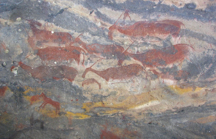 Why Are There No Unicorn Fossils In A Museum?