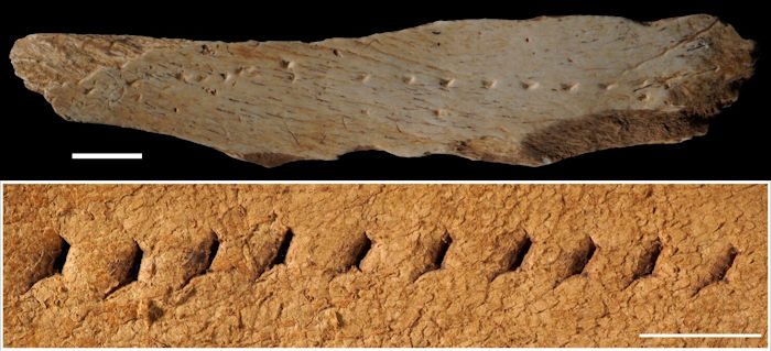 Evidence Europeans Made Leather Clothing 40,000 Years Ago - New Study