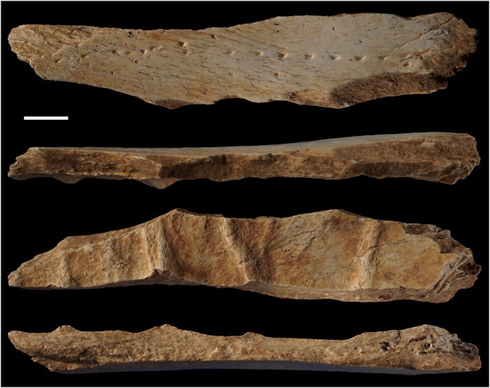 Evidence Europeans Made Leather Clothing 40,000 Years Ago - New Study