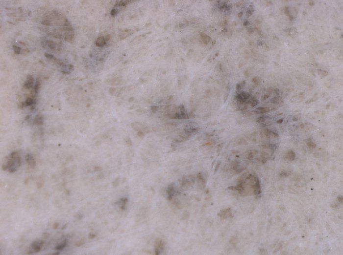 Black stains on the passepartout of the Folio 843 of Codex Atlanticus. Credit: Politecnico di Milano