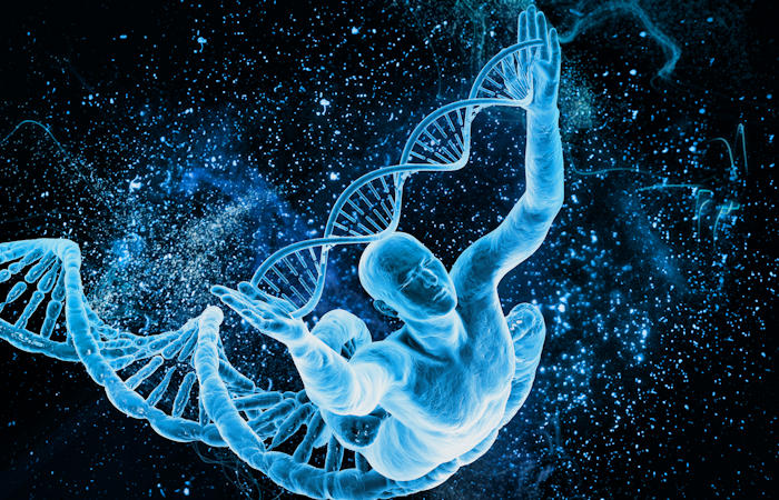 "Deleted" Pieces Of DNA May Be What Made Us Human - Scientists Say