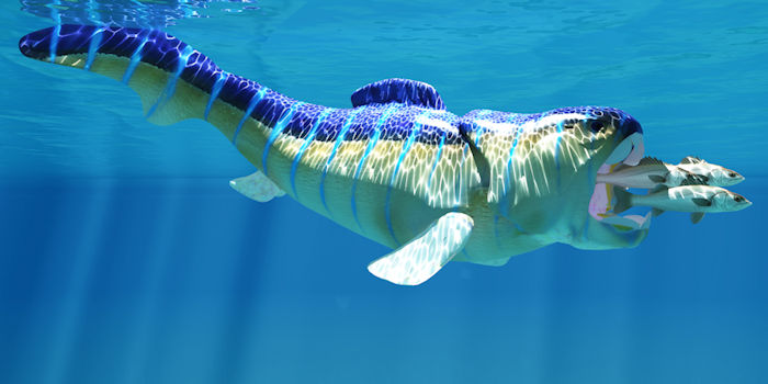 How Large Was The 'Giant' Dunkleosteus Terrelli - Prehistoric King Of The Oceans?