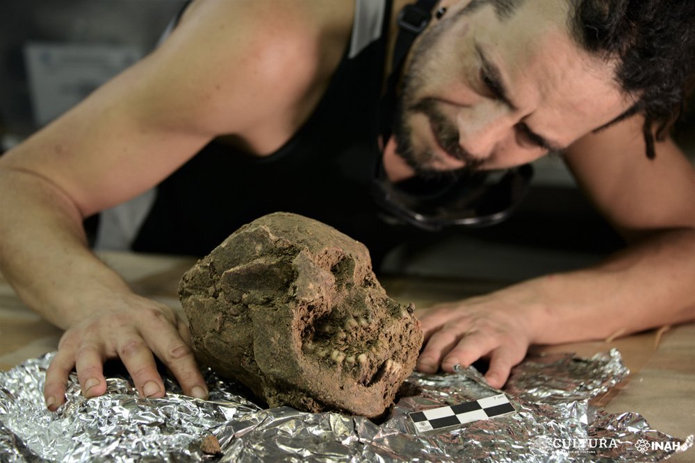 Skull of the "Lady SAS". Photo: Mauricio Marat. INAH