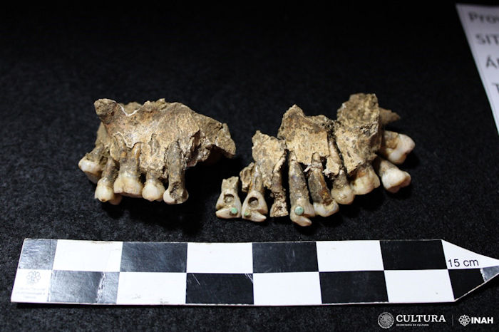 Lady SAS - Ancient Skeleton Of Foreign Woman Found In Palenque - Who Was She?