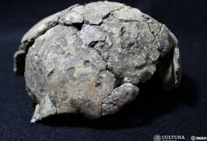 Skull of 'Lady SAS' - Image credit: Mauricio Marat. INAH