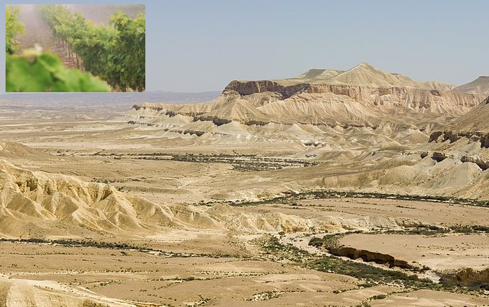 View of Ein Avdat (Hebrew: עין עבדת‎) in the Zin Valley of the Negev desert.