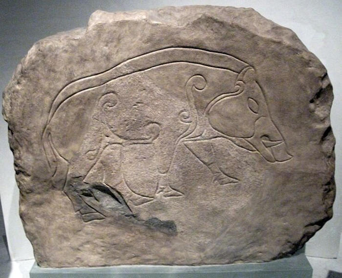 Modern-Day Scottish, Welsh And Northern Irish People Have Pictish Ancestry - New Study