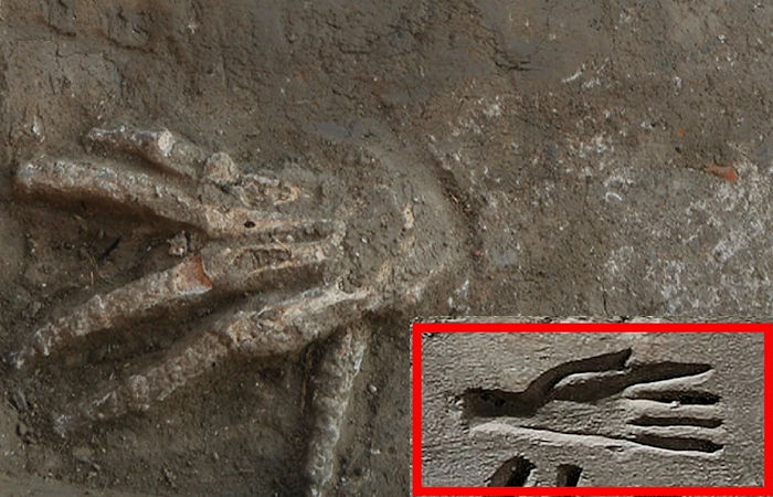 Mysterious Ancient Egyptian Severed Hands Practice Investigated By Scientists
