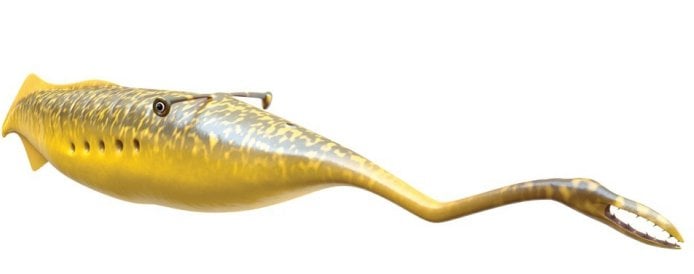 Mysterious Ancient Tully Monster Is So Weird It Cannot Be Classified