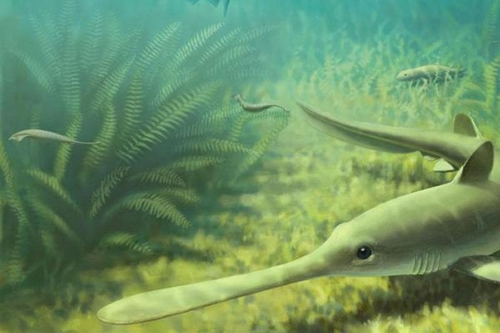 Mysterious Ancient Tully Monster Is So Weird It Cannot Be Classified