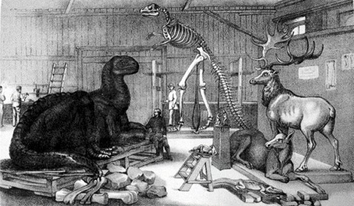 New Study Reveals Who Destroyed New York's First Dinosaur Museum