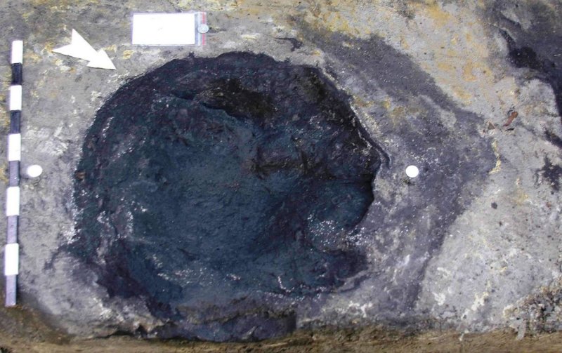 Fossil elephant track in Schöningen 13 II-2 Untere Berme, with wood fragments in the footprint backfill.