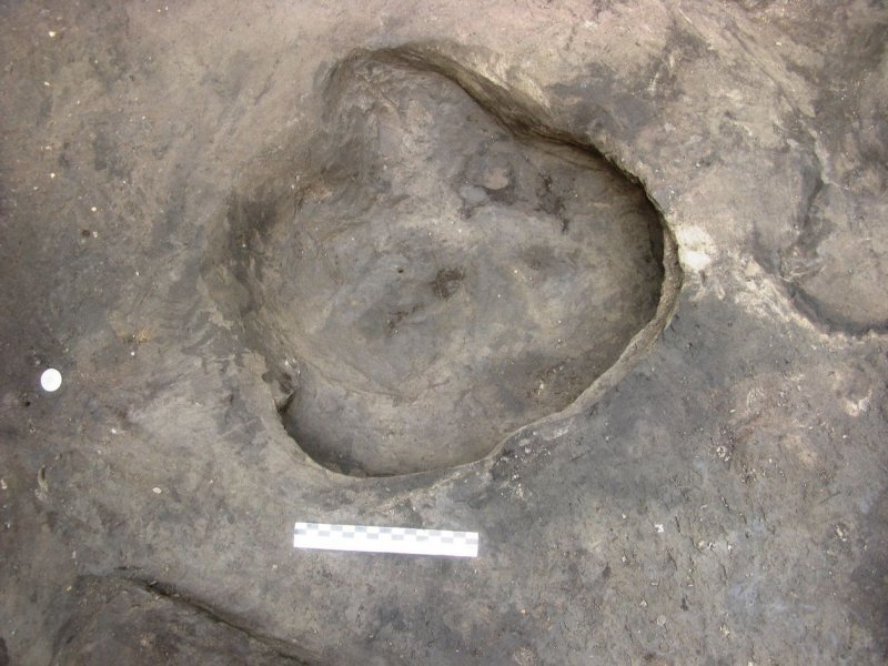 The footprint of a rhinoceros - Stephanorhinus kirchbergensis or Stephanorhinus hemitoechus - is the first of this species from the Pleistocene found in Europe.