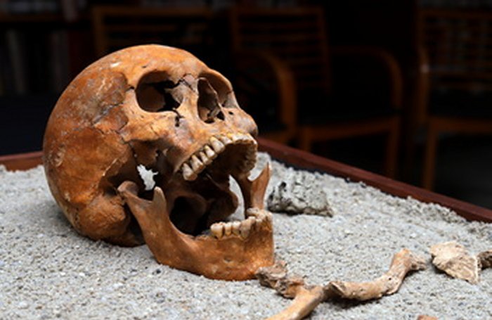 2,000-Year-Old Tomb With Human Remains Belonging To A Roman Physician Discovered In Hungary