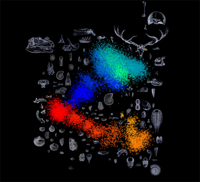 Surprising Patterns In Earth's Biological Mass Extinctions Detected By AI