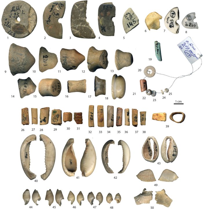 Discovered Shell Beads Shed New Light On Stone Age Seafaring