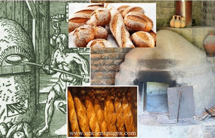 History Of Bread: Basic Food For The Sick, Poor, Pilgrims, Travelers, And All Other People Around The World