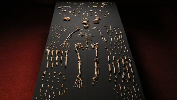 World's Oldest Burial Site Reveals Homo Naledi Buried Their Dead 100,000 Years Before Humans