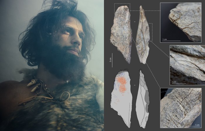 Little Known Neanderthal Technology Examined - Turning Bones Into Tools