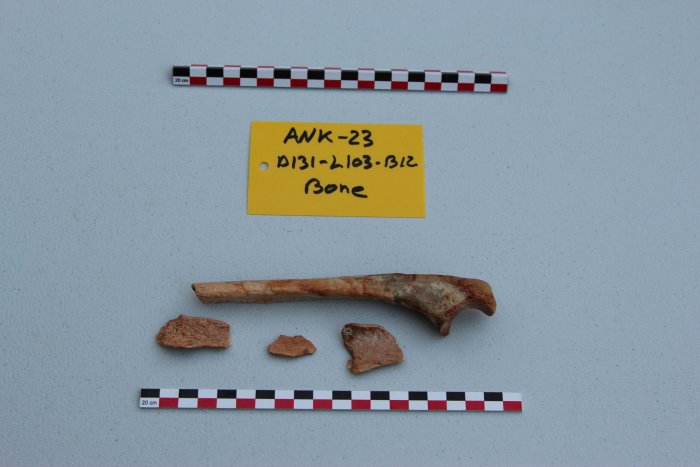 New Underwater Discoveries Made Around The Antikythera Shipwreck