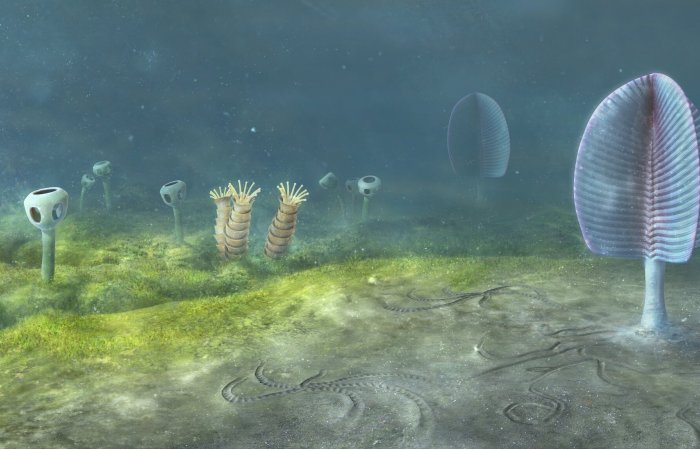 Scientits Closer To Solving The Mystery Of When Animals Evolved