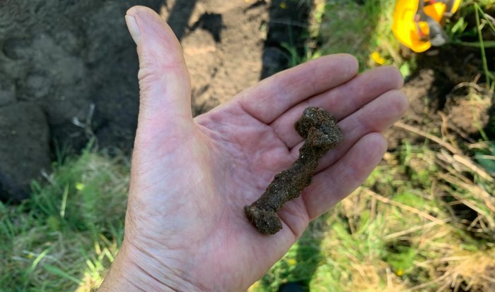 Is Mysterious Herlaugshaugen The Ship Burial Of Viking King Herlaug?