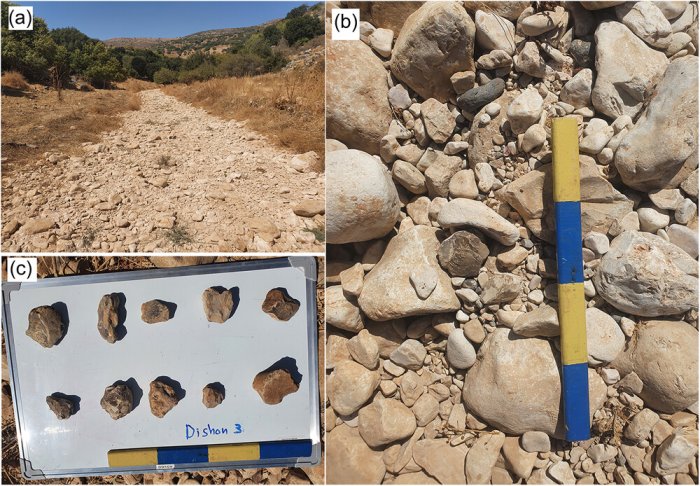 Dishon stream. Flint pebbles sampling location 3 (Figure 1): D3. (a) Sampling location, view from the east; (b) flint pebble within streambed, left of the scale. Scale = 40 cm; (c) largest pebbles collected from the streambed.