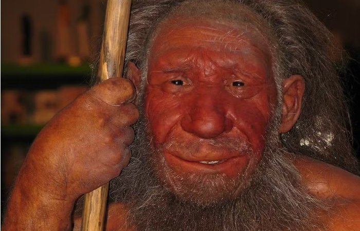 Do Neanderthal Genes Determine Our Skin Color And Sleep Patterns?