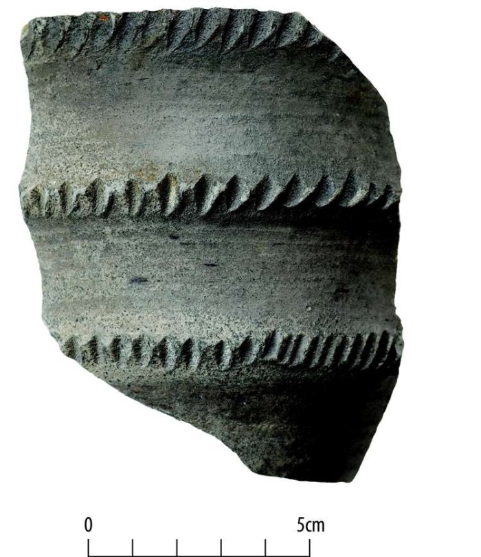 Large Anglo-Saxon Burial With Bodies And Roman Artifacts Found At Bicker Fen, Lincolnshire, UK