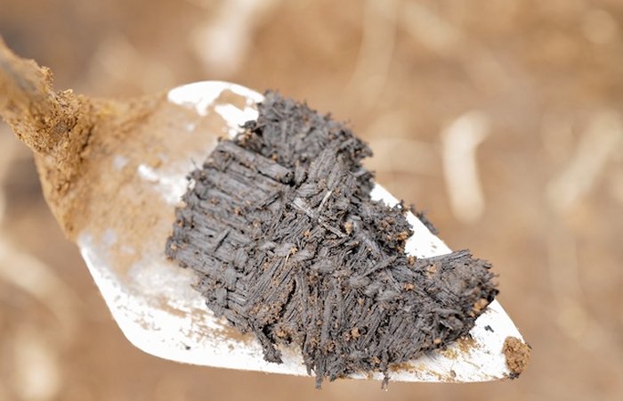 Rare 3,000-Year-Old Weavings Discovered In Alaska