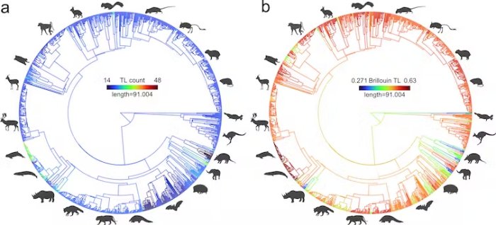 Humans May Be Result Of An Evolution 'Accident'- Scientists Say