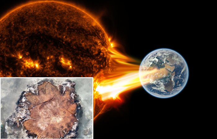 Evidence Of The Biggest Ever Solar Storm 14,300 Years Ago - Found In Ancient Tree Rings