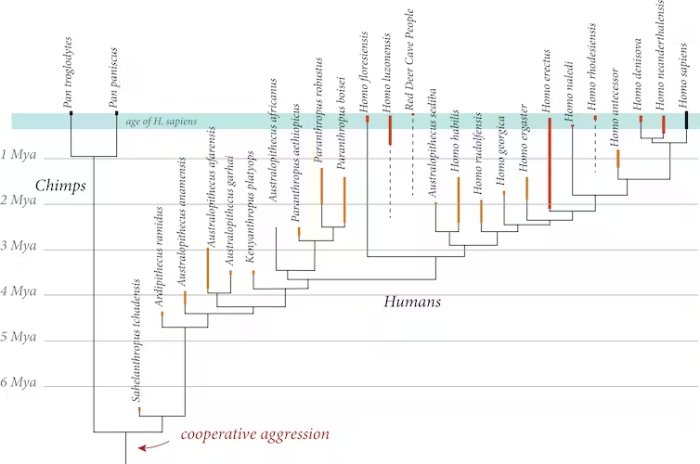 Were Other Humans The First Victims Of The Sixth Mass Extinction?