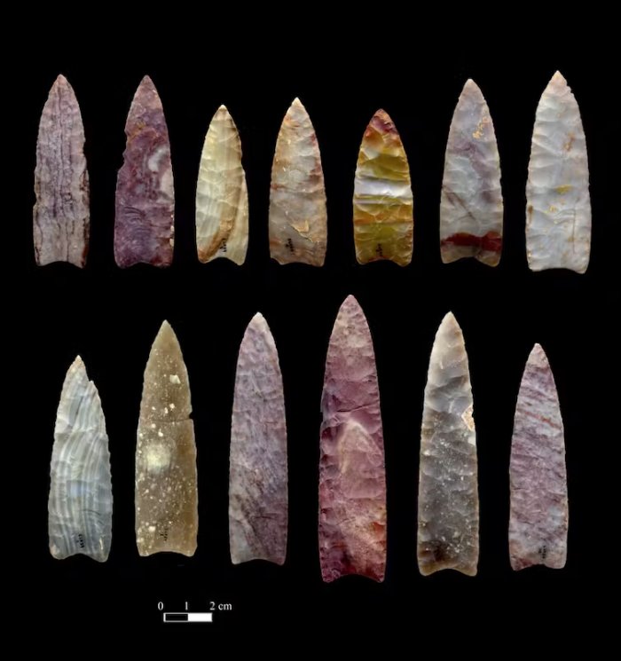 Were Other Humans The First Victims Of The Sixth Mass Extinction?