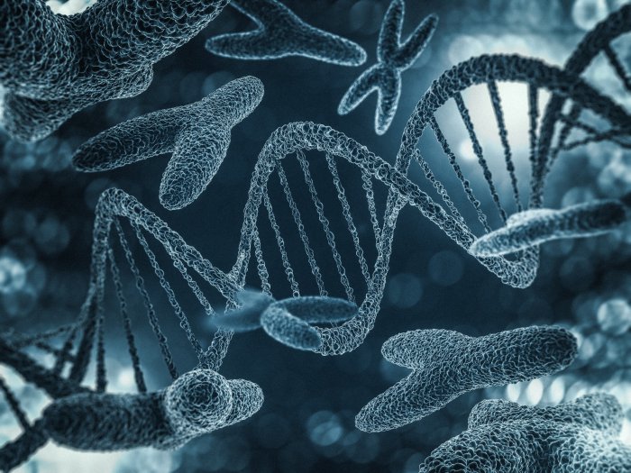 Men Are Slowly Losing Their Y Chromosome - Is The Future Of Humanity In Danger?