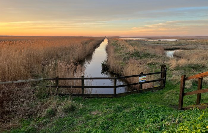 Mysterious History Of Fenland: The UK's Possible Link To A Megadrought That Led To The Collapse Of Civilisations Around The World