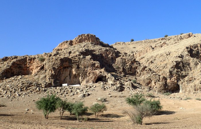 Early Humans In The Paleolithic Age Had A More Varied Diet Than Previously Assumed