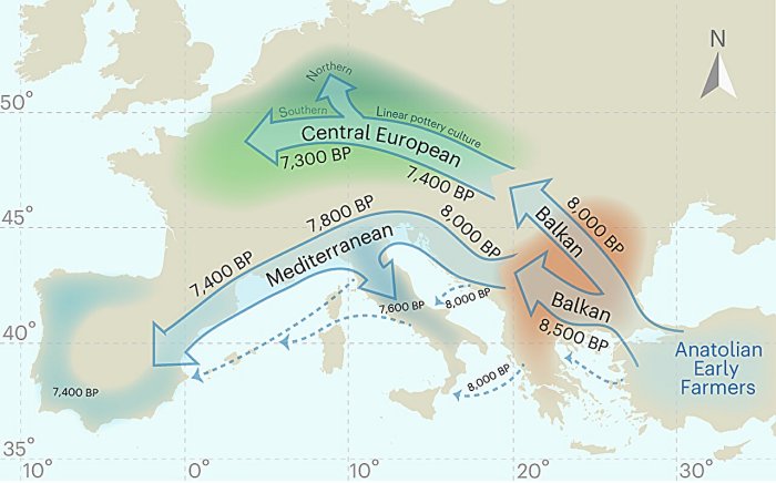 Height Differences Among Neolithic People Was Caused By Environmental Stress Not Genetics