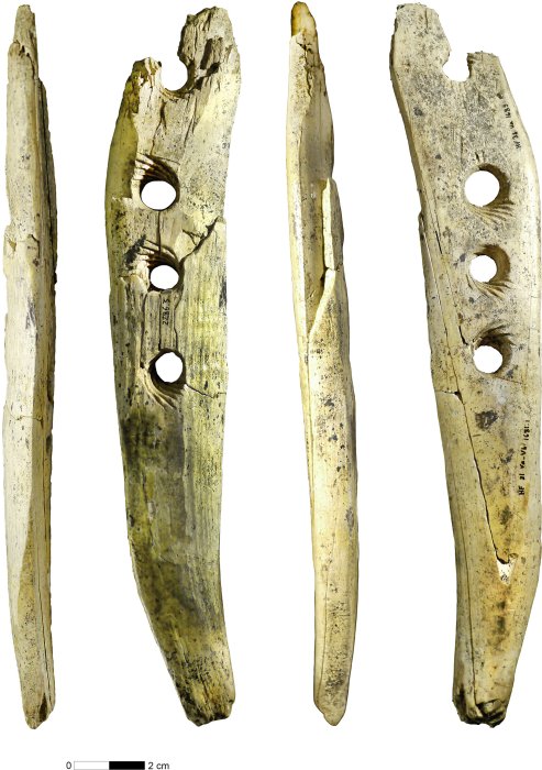 35,000-Year-Old Mammoth Ivory Tool Offers Evidence Of Ropemaking In Central Europe