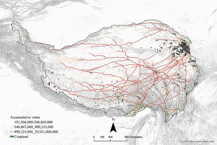How Did Ancient Societies Form Social Bonds And Cultural Identities Across The Tibetan Plateau?