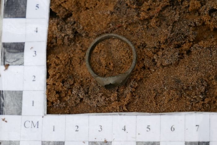 Four Roman-Era Brooches And A Ring Found In The Borki Forest, Poland