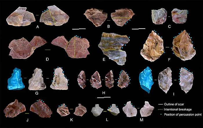 New Tool-Making Timeline For East Asian Hominins - Study