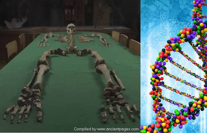 DNA Reveals Stone Age People Avoided Inbreeding