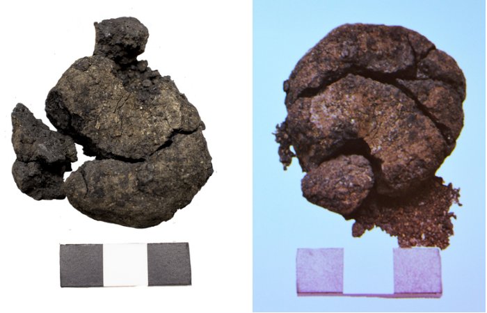 World's Oldest Bread Found In Neolithic Oven In Çatalhöyük, Turkey