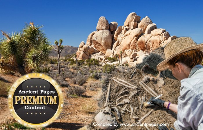 Archaeological Evidence Of Human Presence In America 250,000 Years Ago?