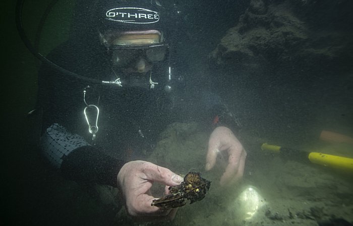 Race Against Time: Crucial Expedition To Delve Into Bouldnor Cliff, Europe’s Mesolithic Underwater Stone Age Site