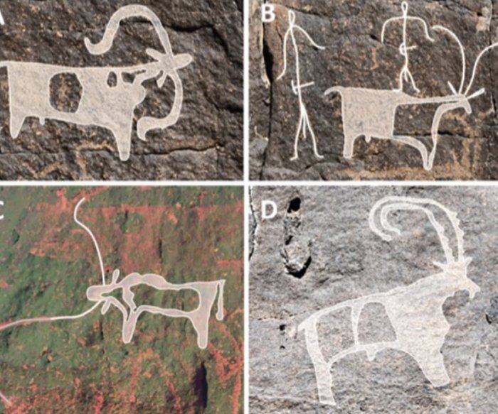 Human Occupation In Lava Tube Cave In Saudi Arabia - First Evidence Discovered